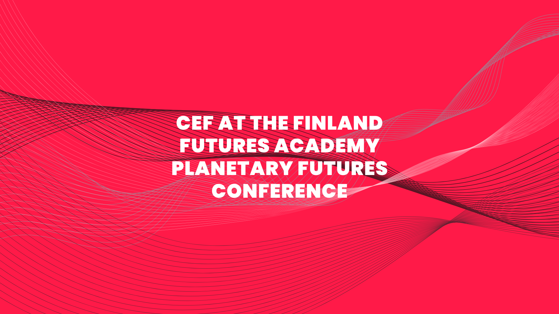 CEF at the Finland Futures Academy Planetary Futures Conference